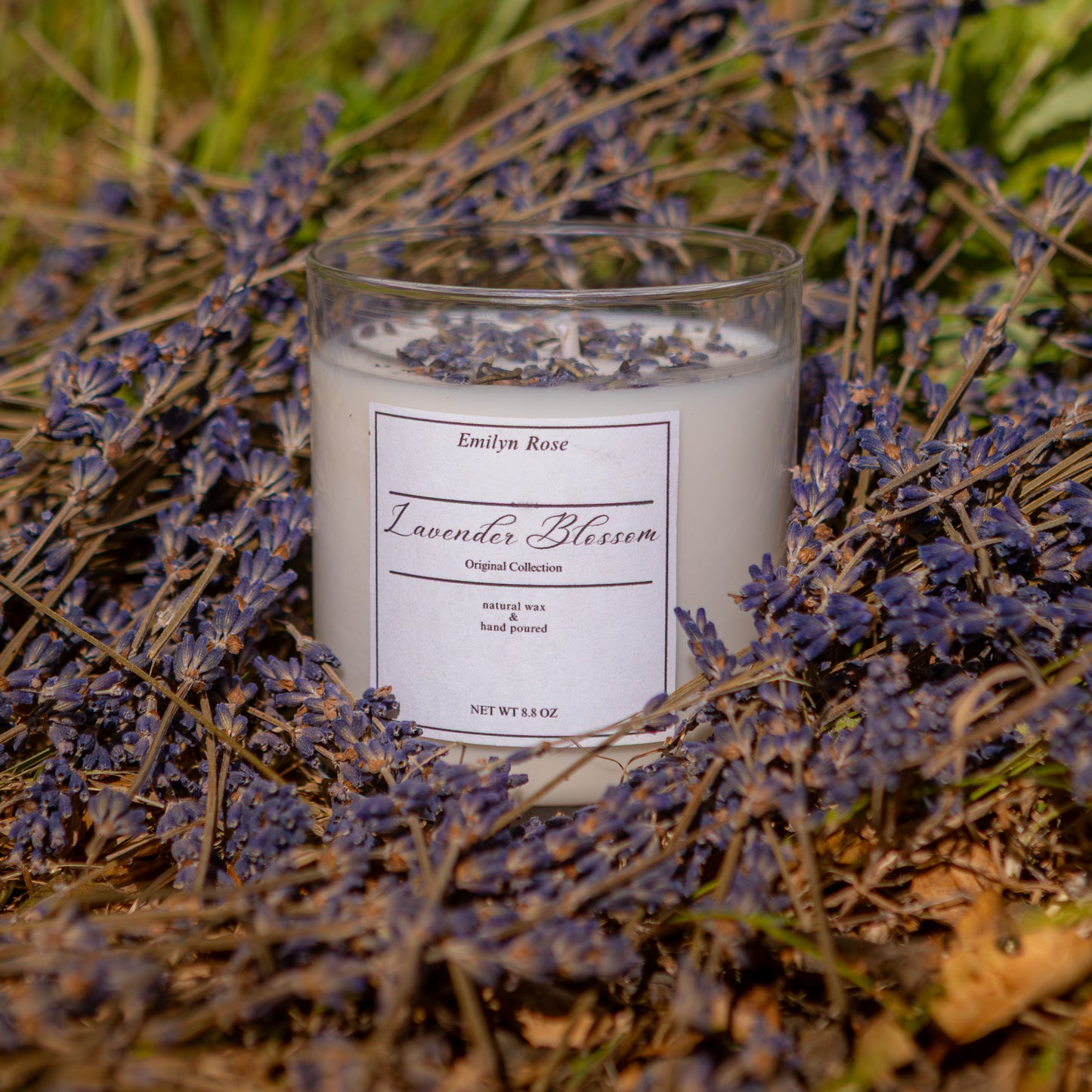 Lavender Blossom